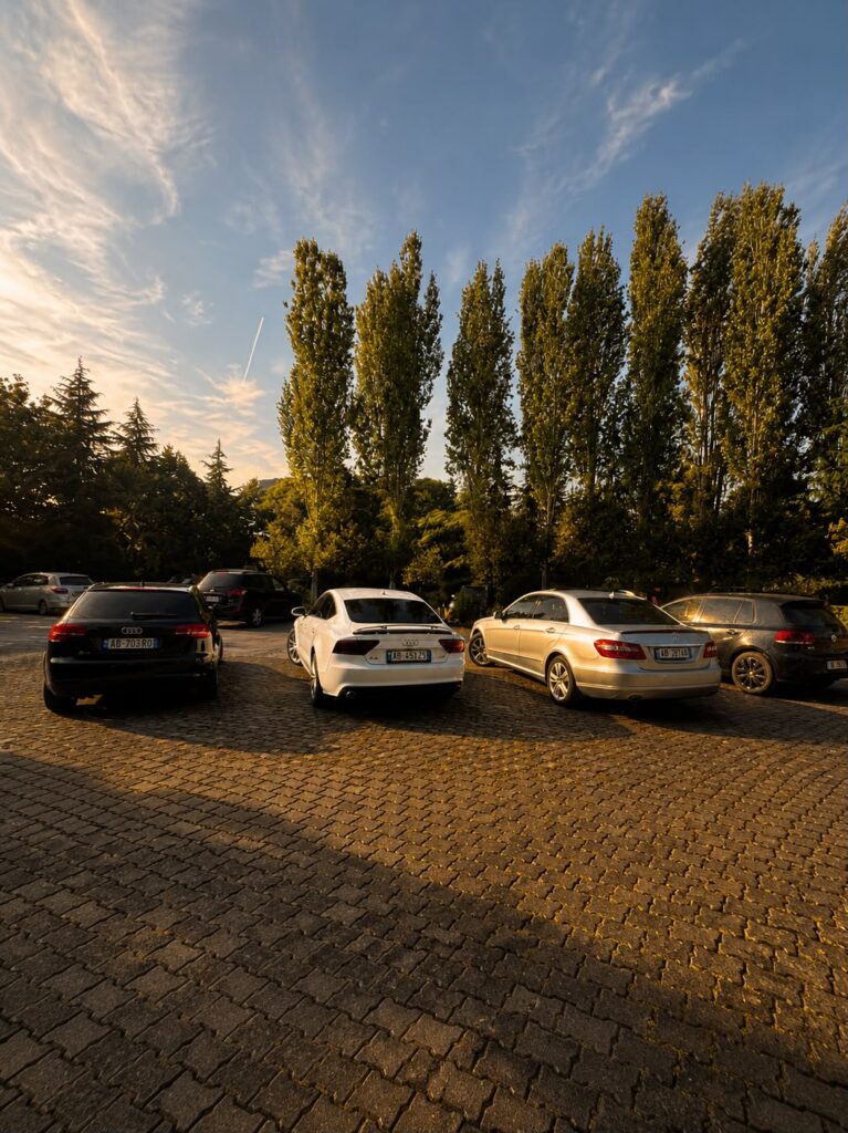 The DriveOn fleet