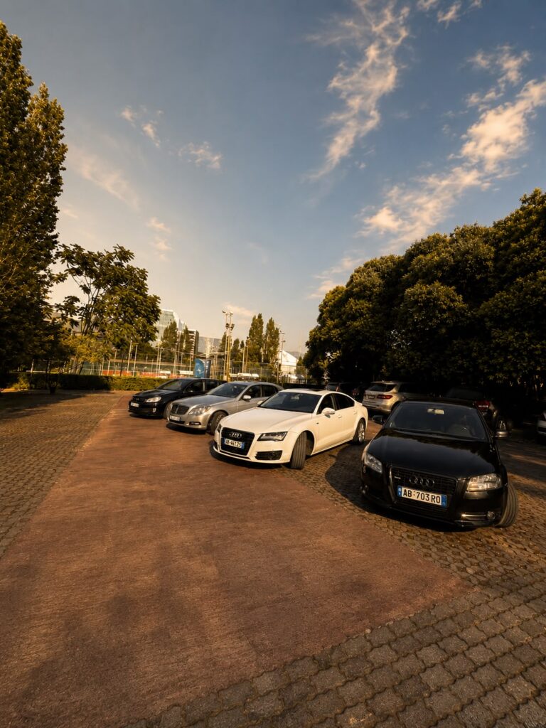 The DriveOn fleet